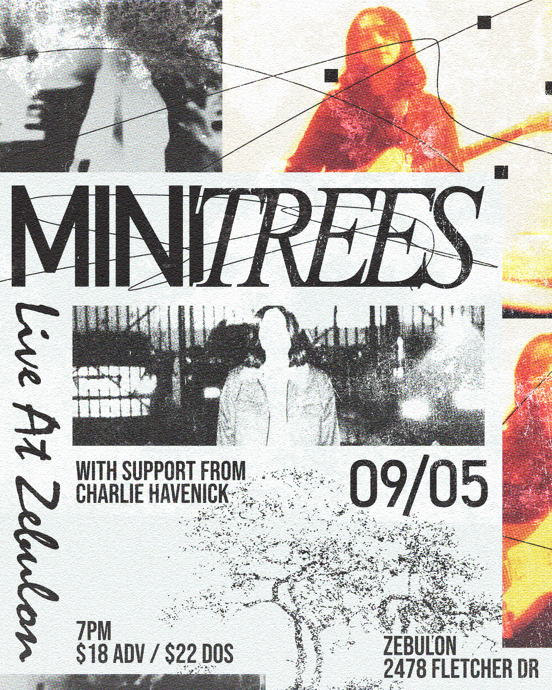 MINI TREES